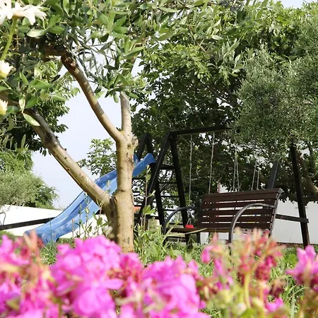 Apartman For Families With Children Zaton, Zadar - 17268 Nin